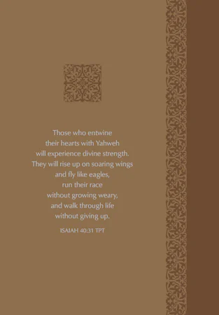 The Vision - interior image