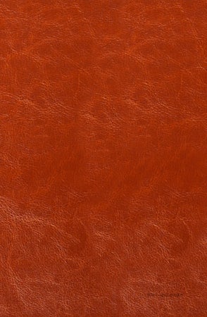 The Passion Translation New Testament Masterpiece Edition - interior image