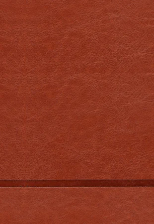 The Chosen – Libro uno - interior image
