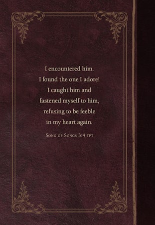 The Encounter - interior image