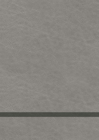 The Chosen Book Three - interior image