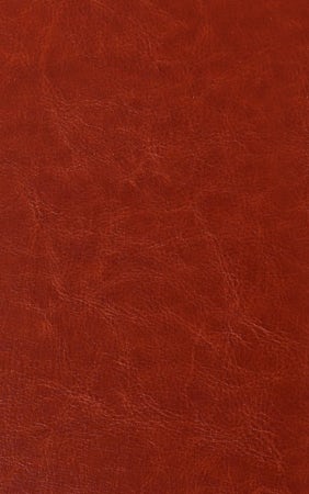KJV Holy Bible Personal Caramel - interior image
