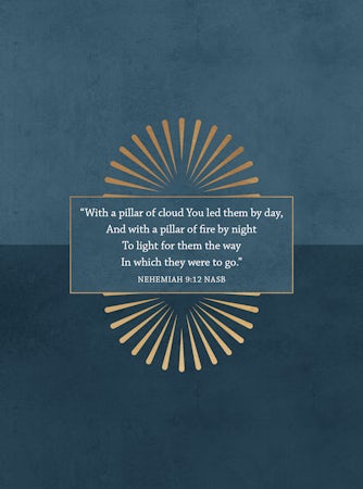 Day by Day and Night by Night - interior image