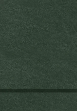 The Chosen – Libro cinco - interior image