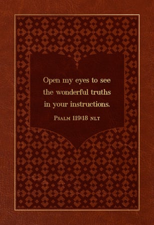 The Bible Reading Plan Devotional for Men - interior image
