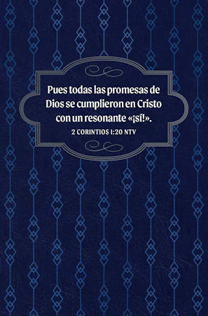 100 promesas de la Biblia para hombres - interior image