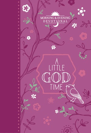 A Little God Time for Boys (gift edition): 365 Daily Devotions