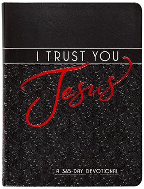 I Trust You Jesus