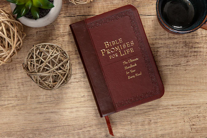 Bible Promises for Life - interior image
