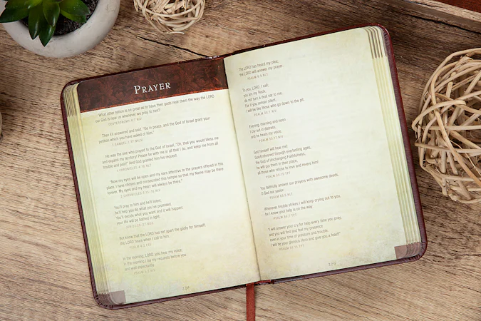 Bible Promises for Life - interior image