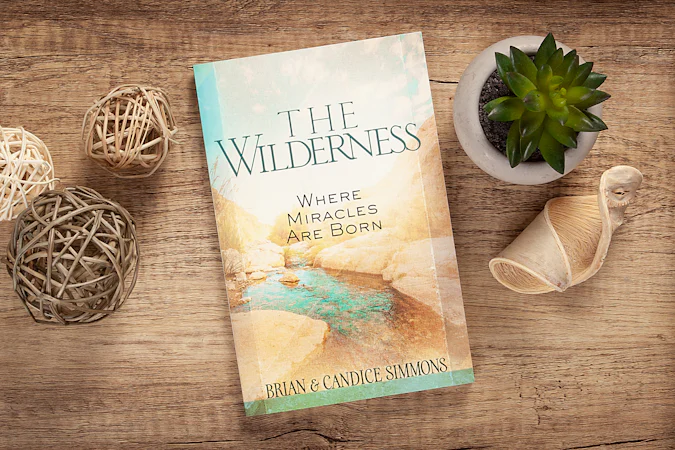 The Wilderness - interior image