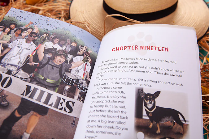 Ruby the Foster Dog - interior image