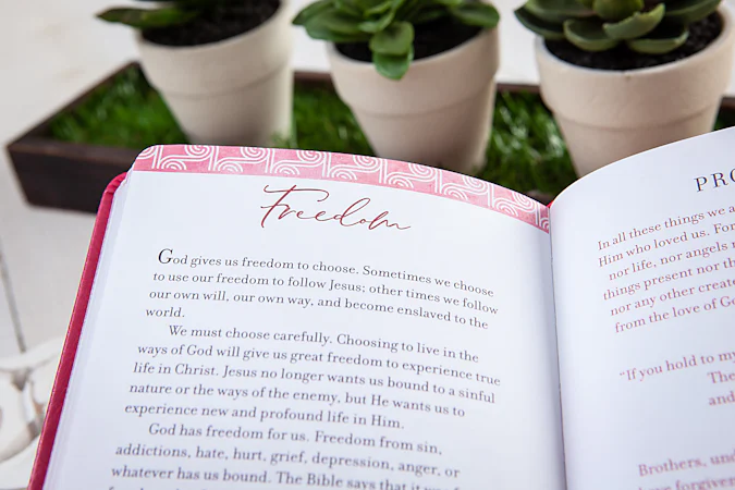 Prayers & Promises for Healing (Gift Edition) - interior image