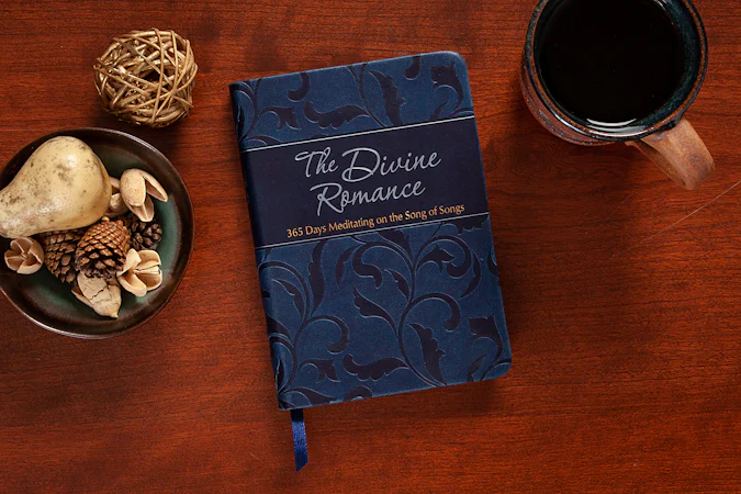 The Divine Romance - interior image