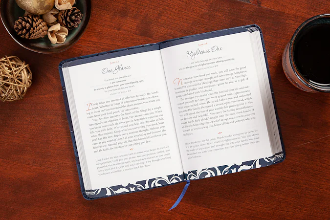 The Divine Romance - interior image