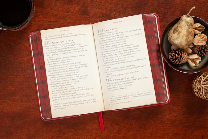Psalms & Proverbs (Gift Edition) - interior image