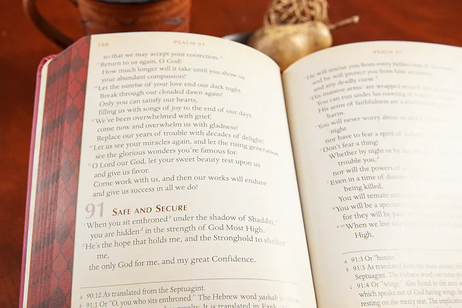 Psalms & Proverbs (Gift Edition) - interior image