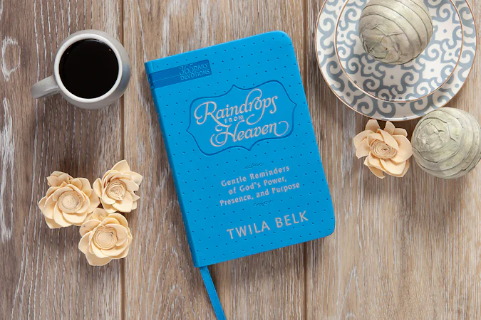 Raindrops from Heaven (Faux Leather Edition) - interior image
