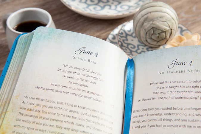 Raindrops from Heaven (Faux Leather Edition) - interior image