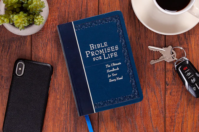 Bible Promises for Life - interior image