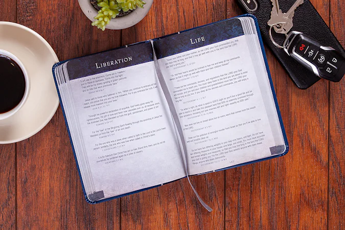 Bible Promises for Life - interior image