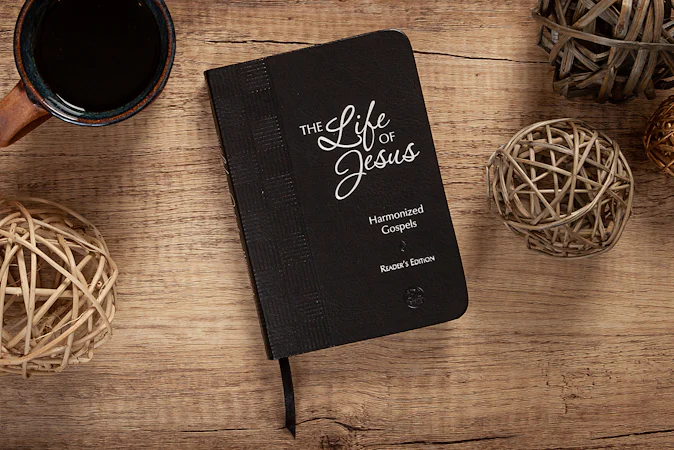 The Life of Jesus - interior image