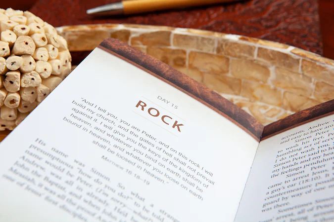 The Chosen Book One - interior image