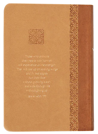 The Vision - interior image