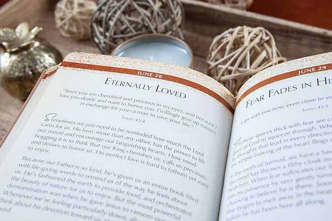 The Vision - interior image