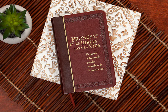 Promesas de la Biblia para la vida - interior image