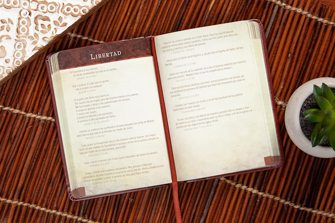 Promesas de la Biblia para la vida - interior image