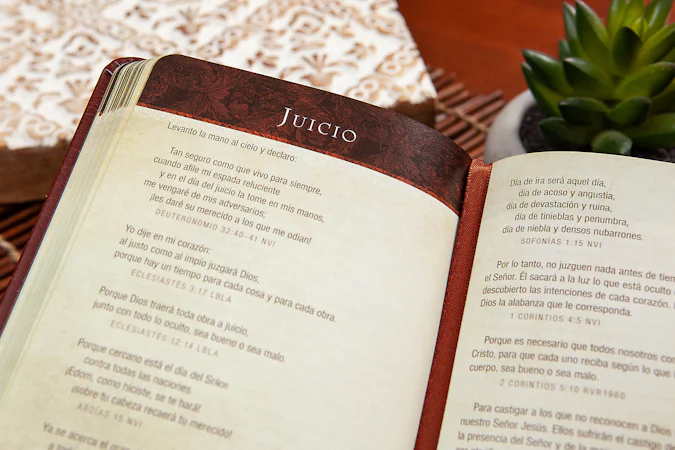 Promesas de la Biblia para la vida - interior image