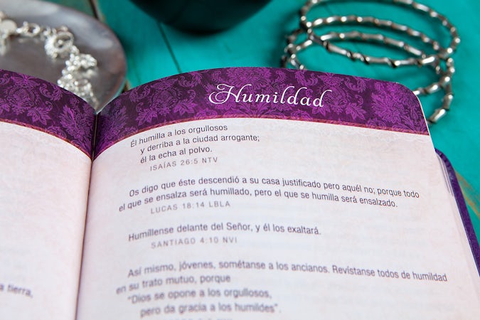 Promesas de la Biblia para la vida de la mujer - interior image