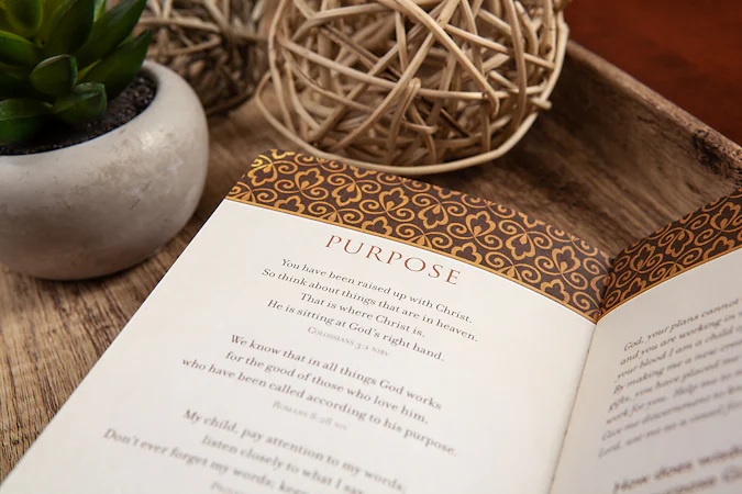 Prayers & Promises for Wisdom - interior image