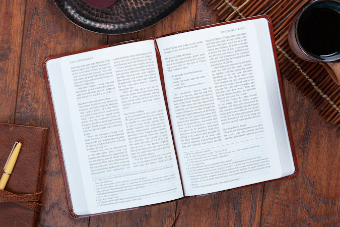 The Passion Translation New Testament (2020 Edition) Large Print Brown - interior image