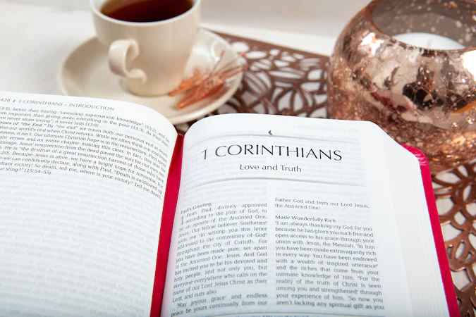 The Passion Translation New Testament (2020 Edition) Compact Fuchsia - interior image