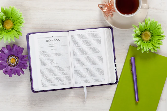 The Passion Translation New Testament (2020 Edition) Compact Violet - interior image