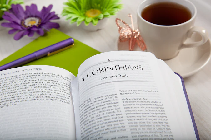 The Passion Translation New Testament (2020 Edition) Compact Violet - interior image