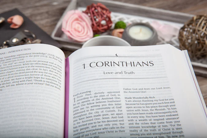 The Passion Translation New Testament (2020 Edition) Passion in Plum - interior image