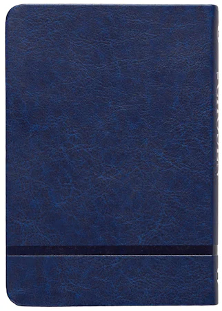 The Chosen Book Two - interior image