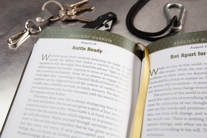 Behind the Lines - interior image