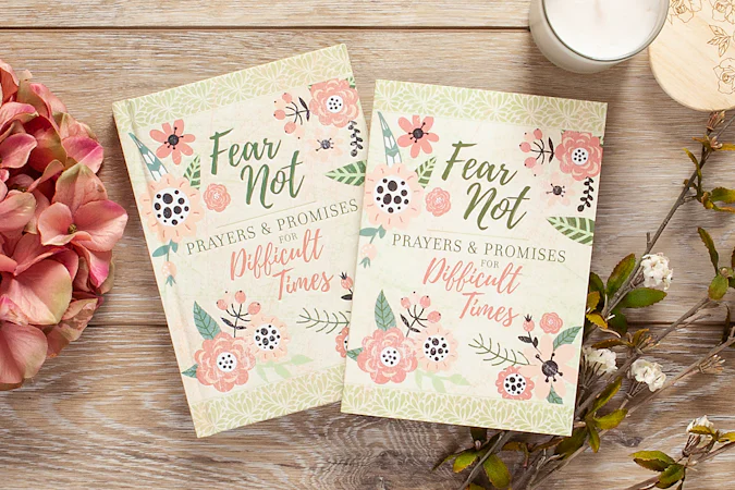 Fear Not - interior image