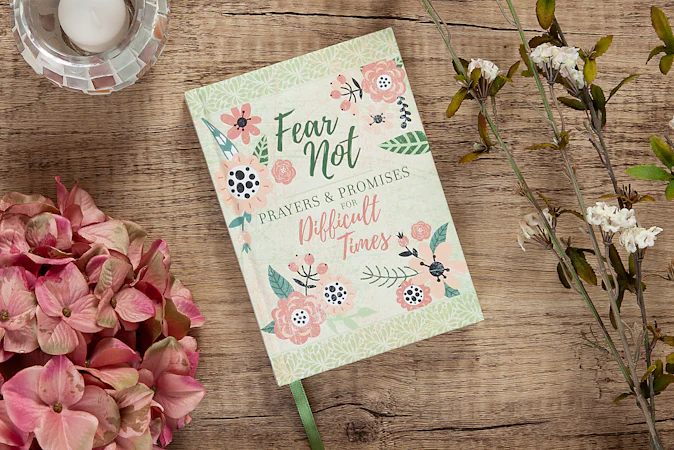 Fear Not - interior image