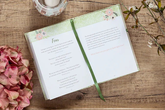 Fear Not - interior image