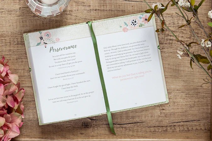 Fear Not - interior image