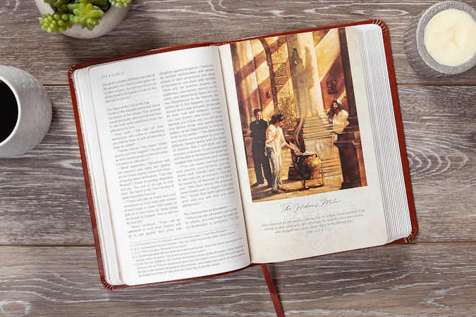 The Passion Translation New Testament Masterpiece Edition - interior image