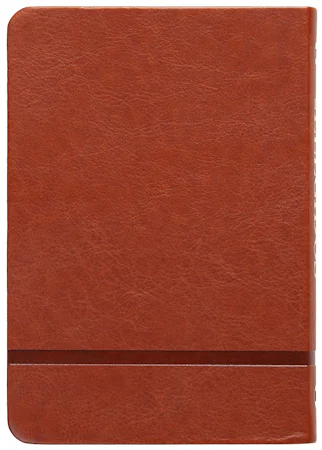 The Chosen – Libro uno - interior image