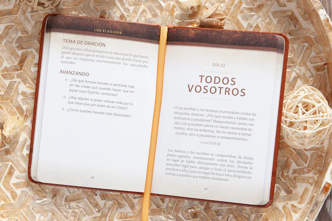 The Chosen – Libro uno - interior image