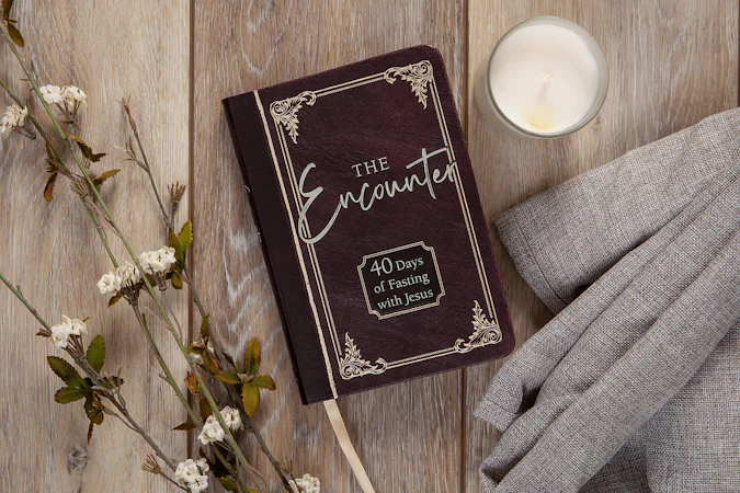 The Encounter - interior image