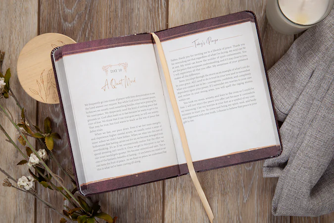 The Encounter - interior image